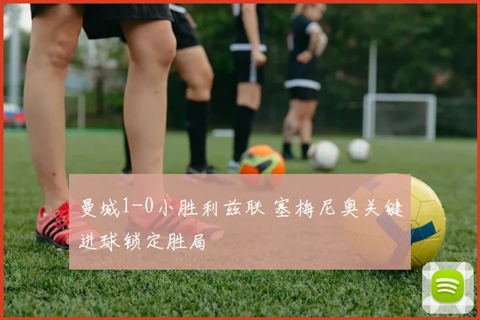 曼城1-0小胜利兹联 塞梅尼奥关键进球锁定胜局