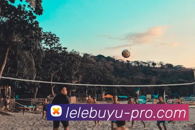 乐乐捕鱼:引领数字化娱乐内容传播与公平竞技的新标准发展历程